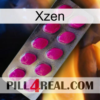 Xzen 09